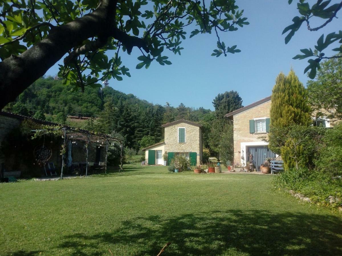 La Cana Dolce Bertinoro Buitenkant foto