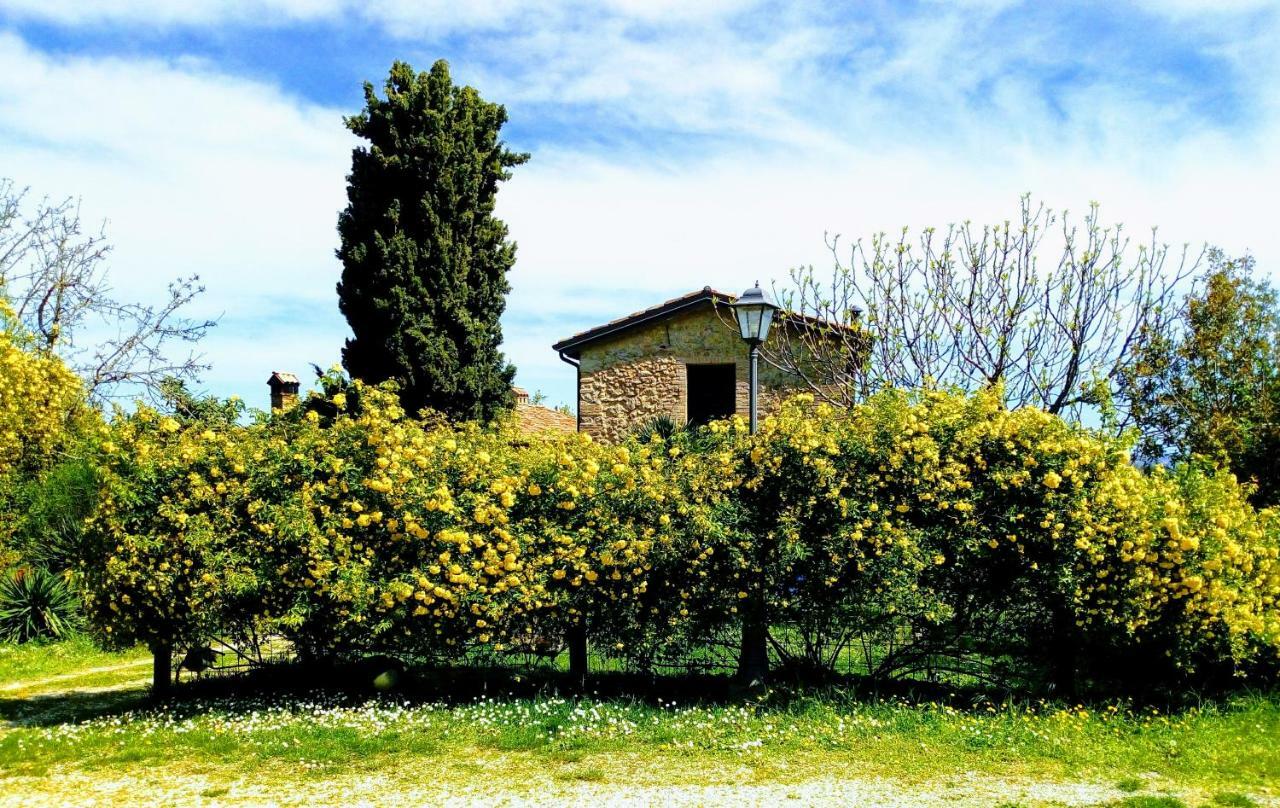 La Cana Dolce Bertinoro Buitenkant foto